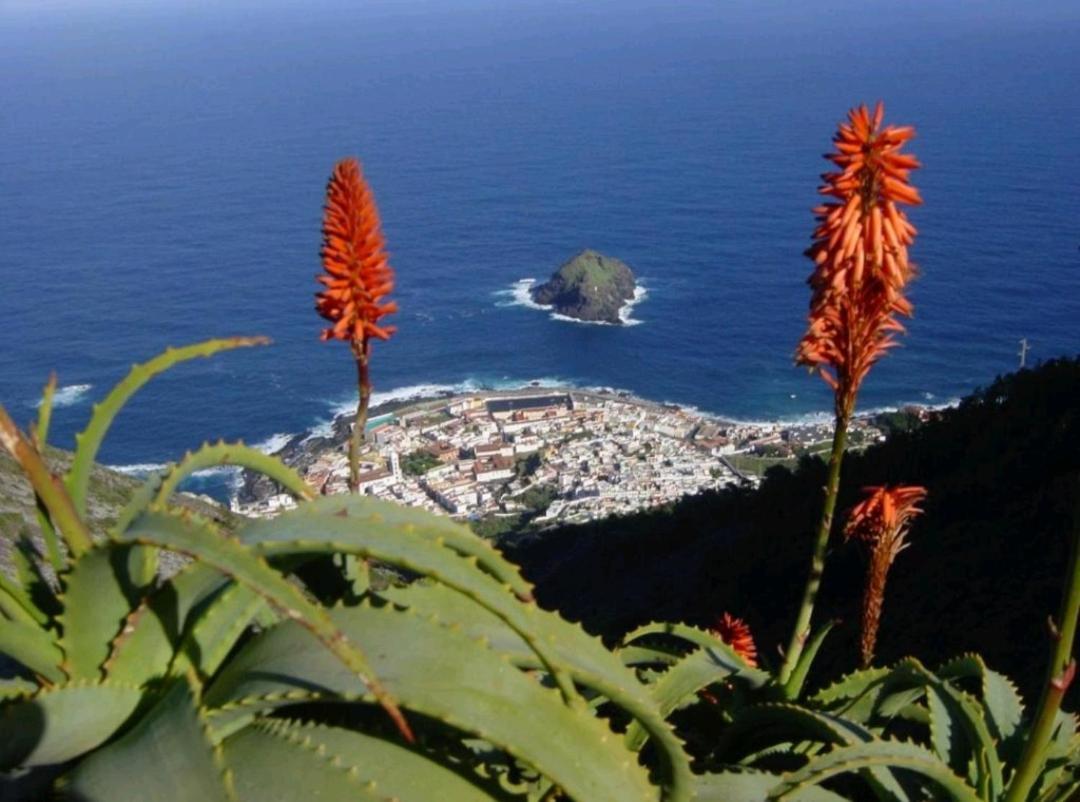 Apartamento Playa San Marcos Icod De Los Vinos Chambre photo