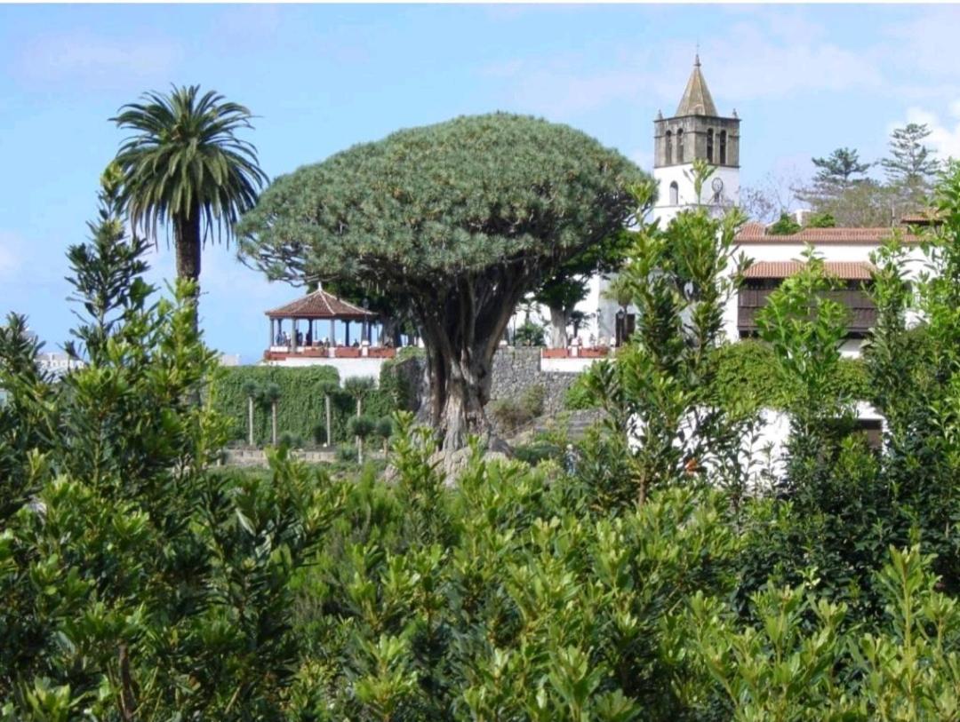 Apartamento Playa San Marcos Icod De Los Vinos Chambre photo